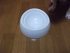 DSCF1915