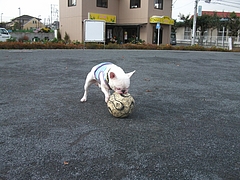 DSCF2049