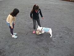 DSCF2063