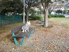 DSCF1967