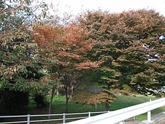 DSCF1957