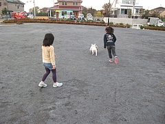 DSCF2064