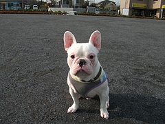 DSCF2038