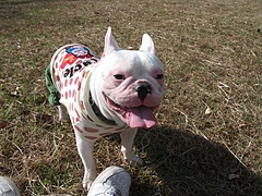 DSCF2096