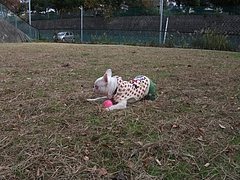 DSCF2081