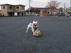 DSCF2053