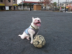 DSCF2056