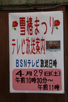 IMG_7303-resize