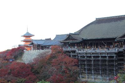 IMG_6682-resize