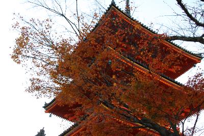 IMG_6651-resize