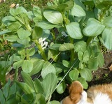 img_396065_3812743_0