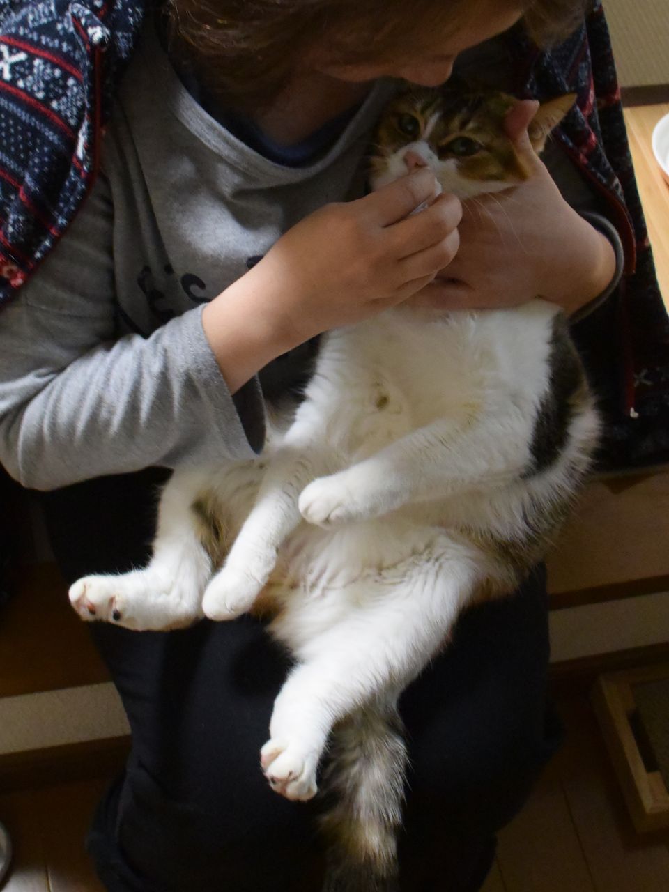 はなくそ Nana Momo