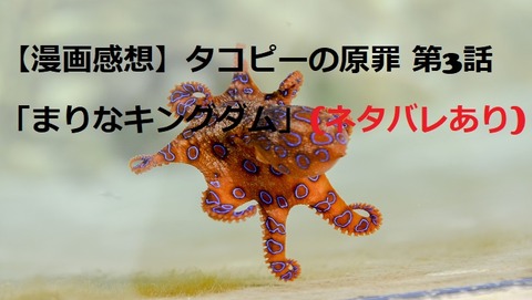 blue-ringed-octopus-g0f886f43e_1920 - コピー (4)