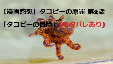 blue-ringed-octopus-g0f886f43e_1920 - コピー (3)