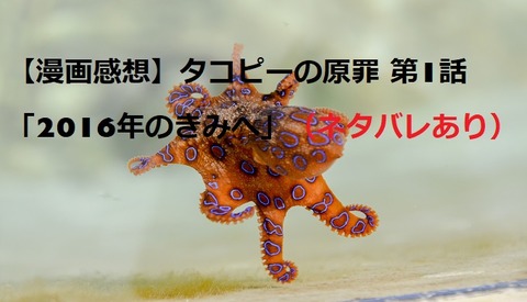 blue-ringed-octopus-g0f886f43e_1920 - コピー (2)