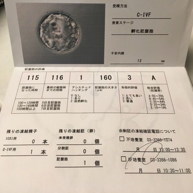 第一子 第二子共に体外受精 1人目先天性心疾患 2人目先天性咽頭狭窄軟化症の子のブログ 体外受精 第一子 第二子共に体外受精 1人目先天性心疾患 2人目先天性咽頭狭窄軟化症の子のブログ 体外受精