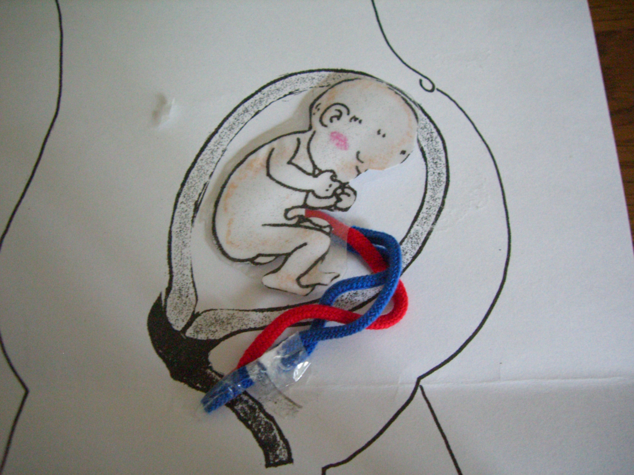 いのちの授業 解答 雨のち晴れ