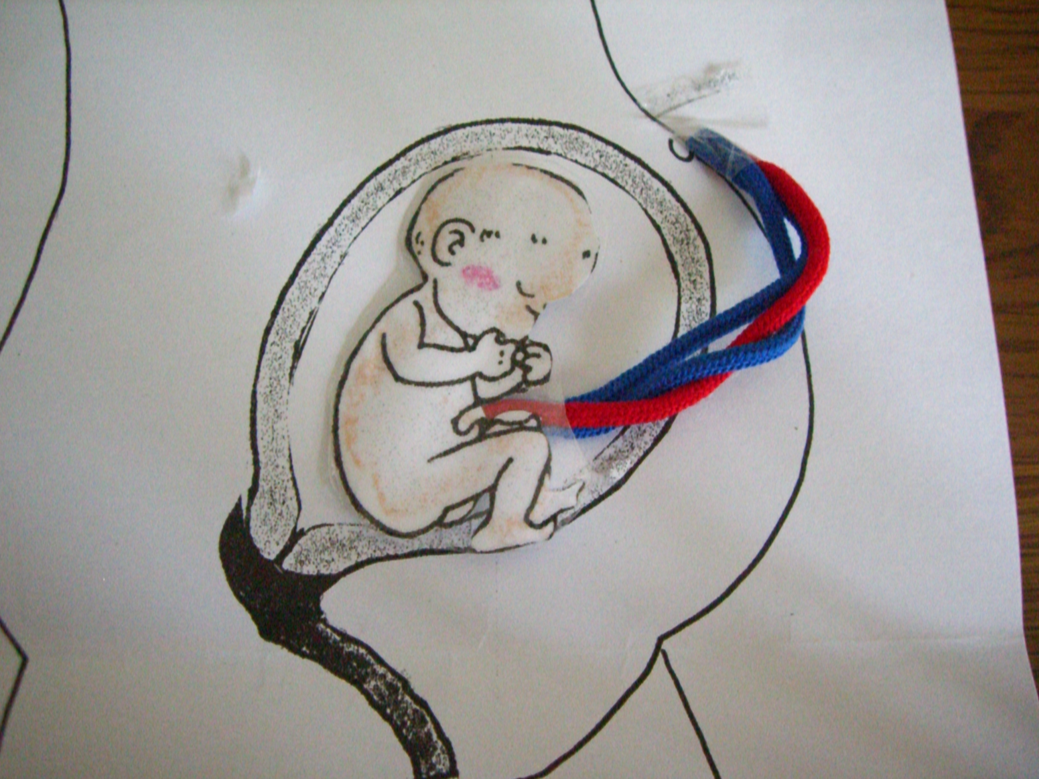 いのちの授業 解答 雨のち晴れ