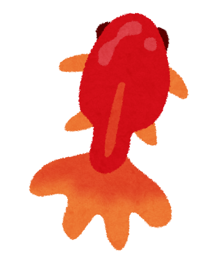 kingyo1