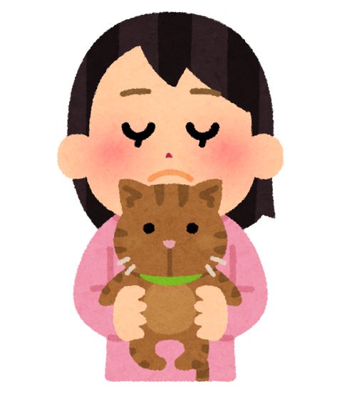 pet_cat_nekosui.png