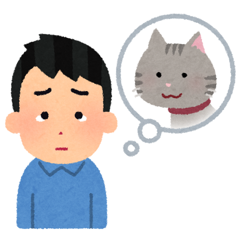 pet_loss_cat_man.png