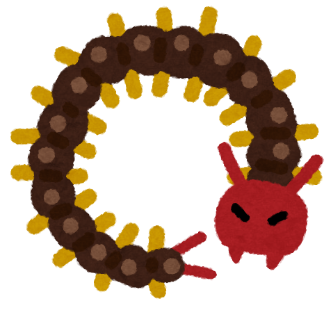 bug_mukade5