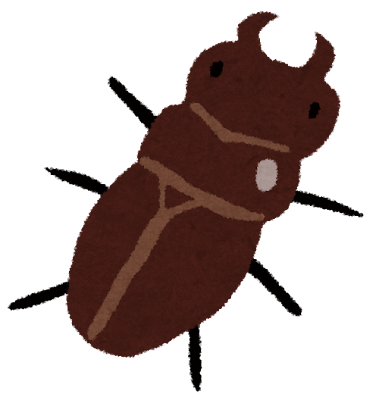 mushi_kuwagata_mesu