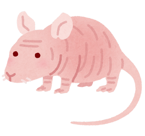 animal_science_nude_mouse.png