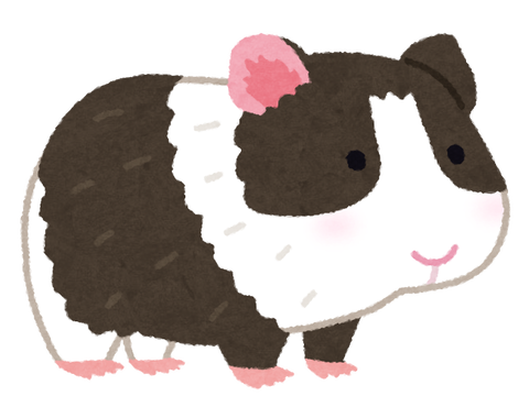 animal_marmot_white_black.png
