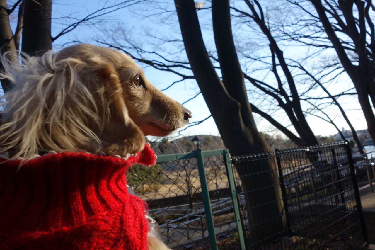 ナナと今日も楽しくII♪2014年01月11日