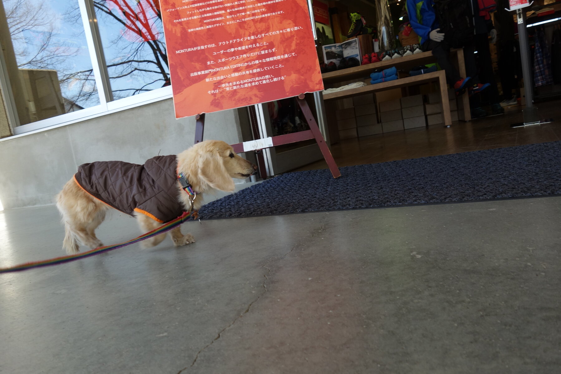 ナナと今日も楽しくｉｉ 21年春 ナナと八ヶ岳旅行 4 リゾートアウトレットへ