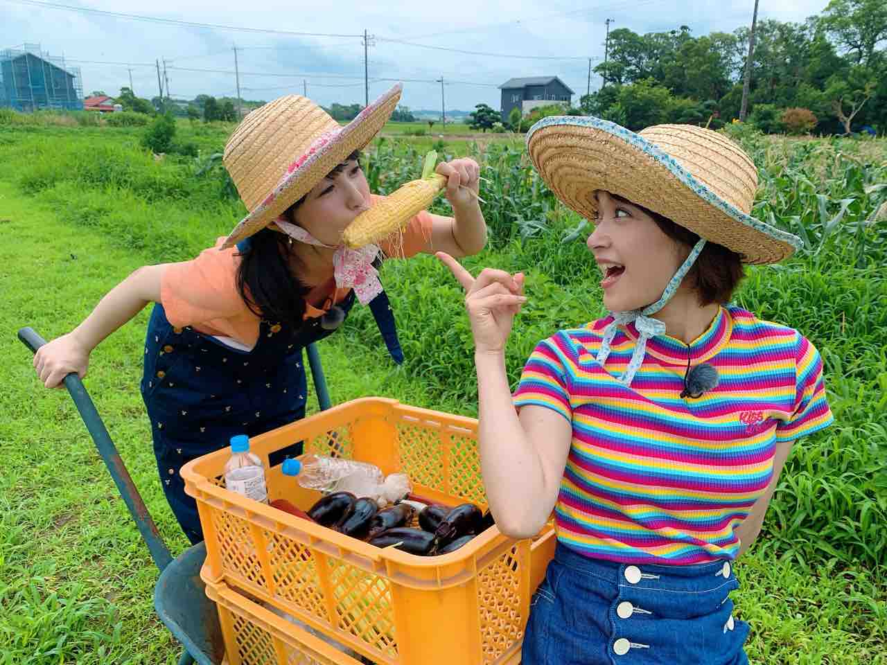 農業公園ぽんぽこ村ロケ みひなな食堂通信 七海ななドキドキ 内緒のはなしヾ 農業公園ぽんぽこ村ロケ みひなな食堂通信 七海ななドキドキ 内緒のはなしヾ