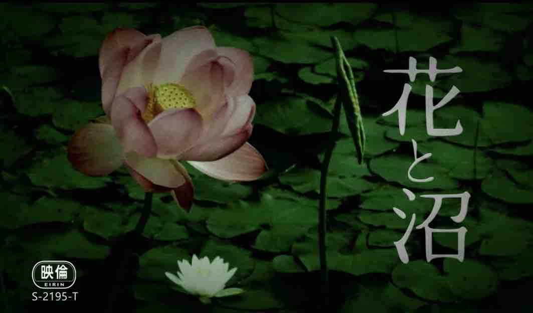 主演映画 花と沼 10 17 土 50回舞台挨拶 今夜のななチャレラジオ放送は 七海ななドキドキ 内緒のはなしヾ