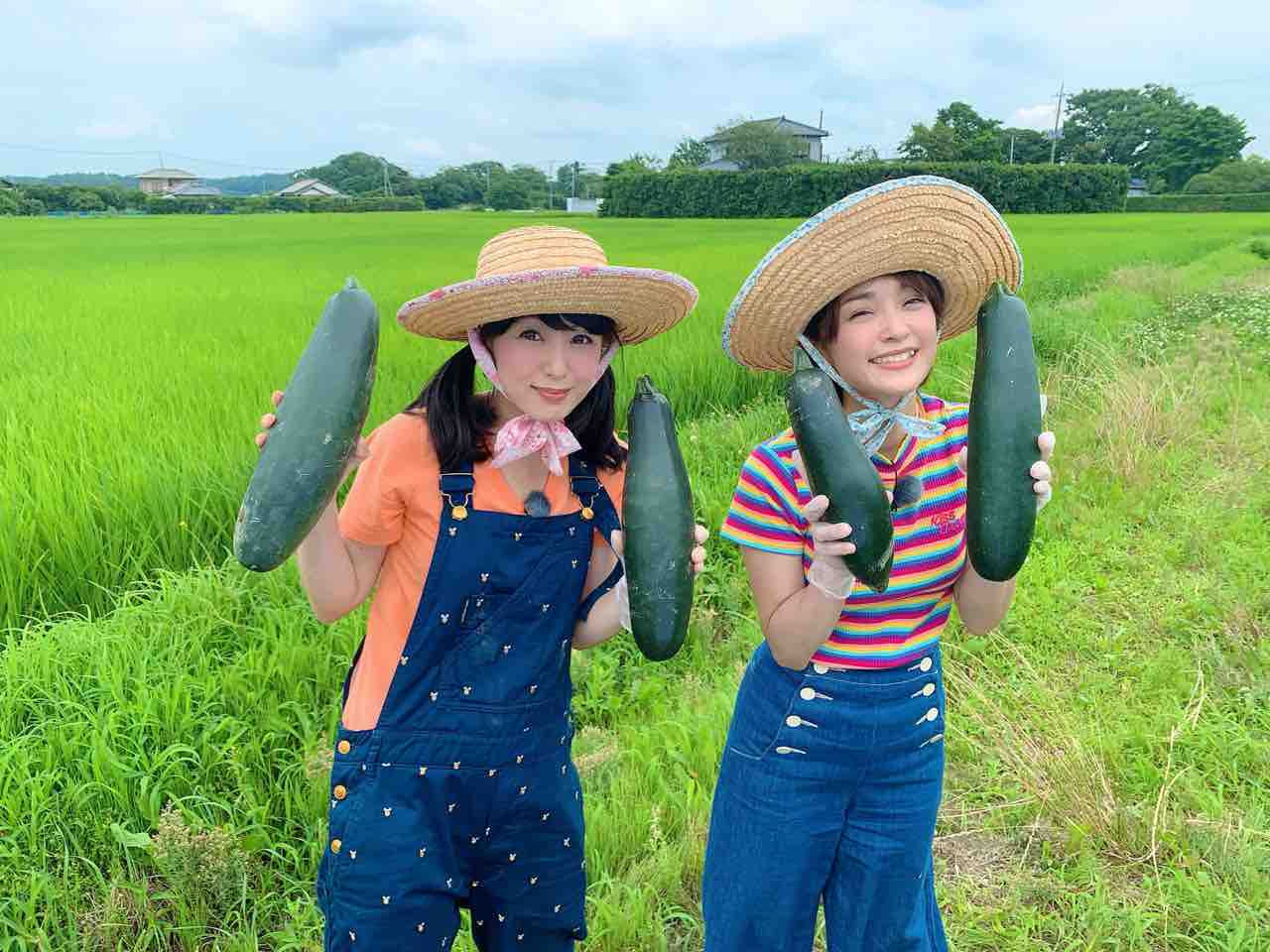 農業公園ぽんぽこ村ロケ みひなな食堂通信 七海ななドキドキ 内緒のはなしヾ 農業公園ぽんぽこ村ロケ みひなな食堂通信 七海ななドキドキ 内緒のはなしヾ