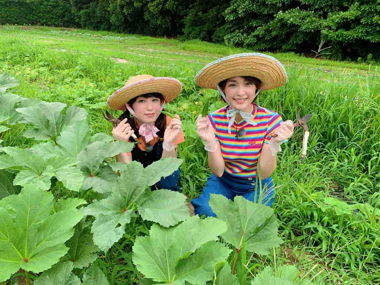 農業公園ぽんぽこ村ロケ みひなな食堂通信 七海ななドキドキ 内緒のはなしヾ 農業公園ぽんぽこ村ロケ みひなな食堂通信 七海ななドキドキ 内緒のはなしヾ