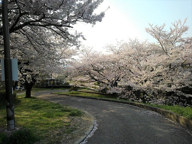 2018-03-31-16-09-10-1