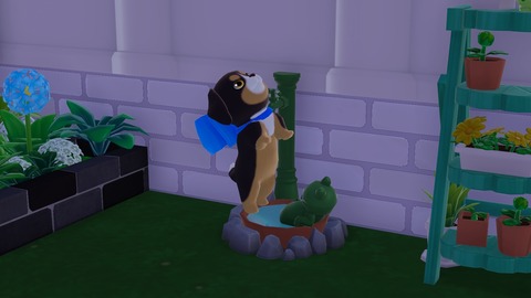 134230033869893488_1770_996_1778571469579