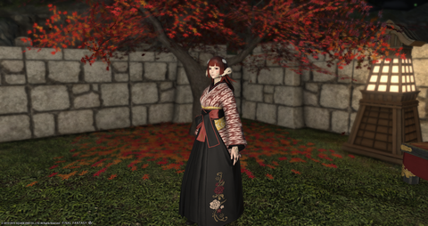 ffxiv_20190602_163133_186