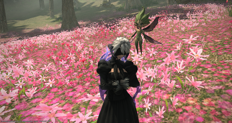 ffxiv_20191125_204932_754