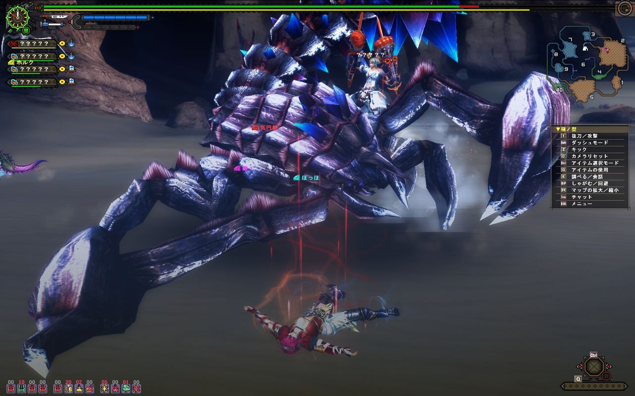 辿異種アクラ ヴァシムを狩猟せよ 別ゲーでも おつ狩り様でした