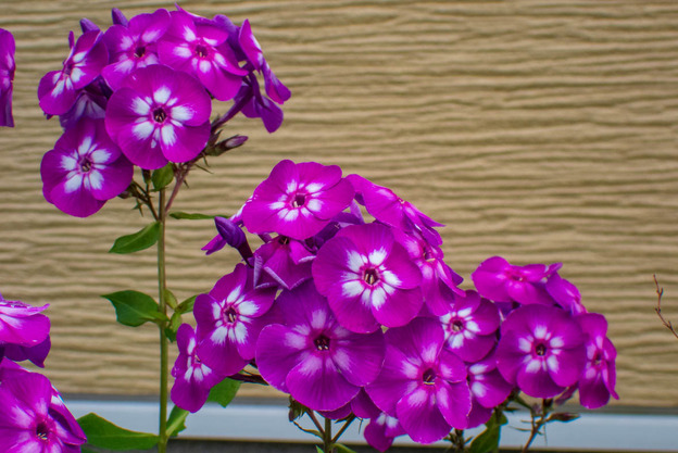 P7280011