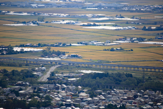 068a877f.jpg