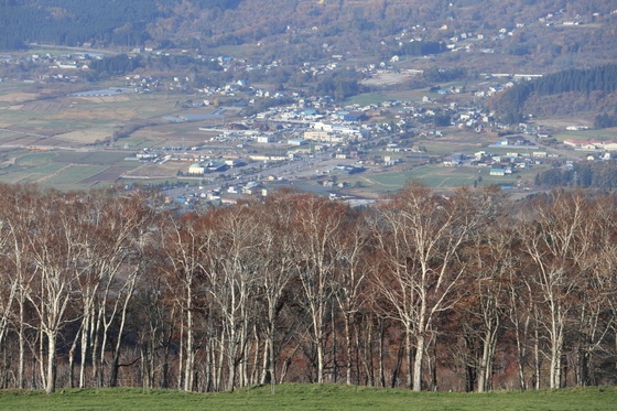 146de8d5.jpg