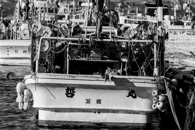 5J9A5361