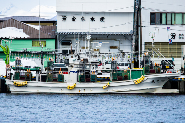 5J9A6299