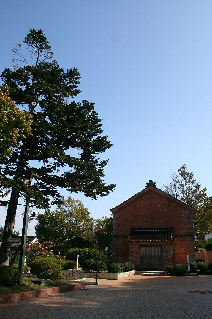 28e95086.jpg