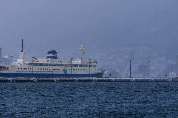 5J9A5946