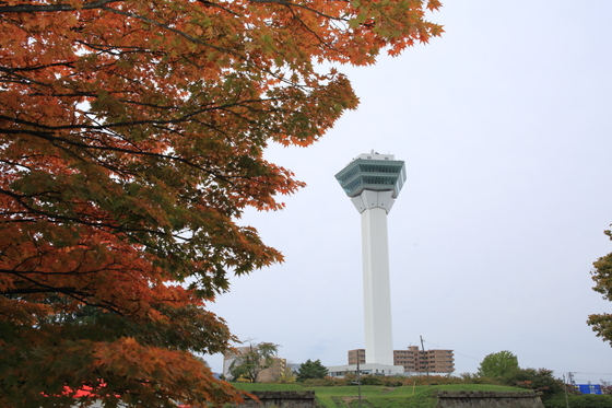 2f08582e.jpg
