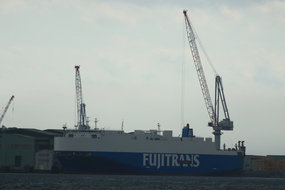 343753d9.jpg