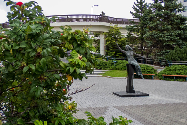 P7270119